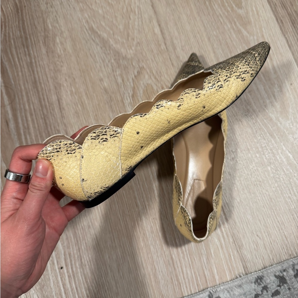 Chloe Buttery Yellow And Black Python Scalloped F… - image 2